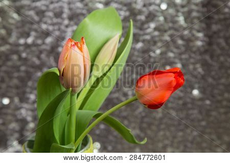 Bouquet Of Delicate Spring Red Tulips On A Blurred Metal Background