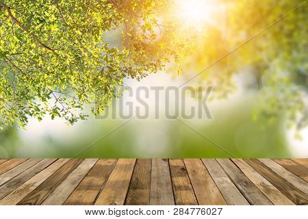Wood Table On Bokey  Green Nature Background