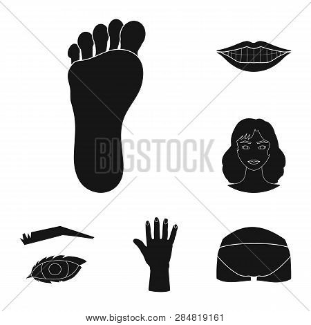 Vector Illustration Of Body And Part Symbol. Collection Of Body And Anatomy Stock Vector Illustratio