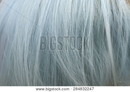 Background Of Grey Hair Dyed Color With Highlight Bleaching Technique But Makes Hair Damaged And Coa