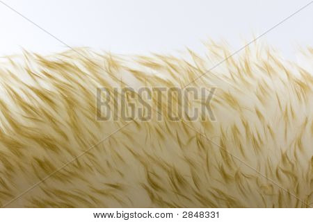 Kuzu derisi kürk arka soyut desenler ile