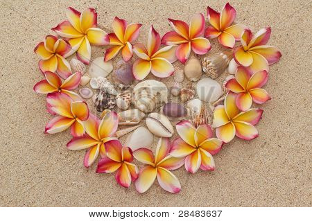 Frangipani, plumeria bloemen In vorm van hart, gevuld met zee schelpen, op zand...