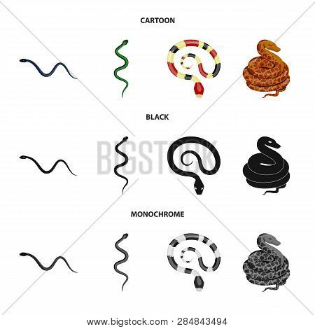 Vector Design Of Mammal And Danger Symbol. Set Of Mammal And Medicine Vector Icon For Stock.