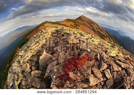In The Ukrainian Carpathians The Wildest Region Is The Gorgan, The Highest Peak Of Syvula. The Old P