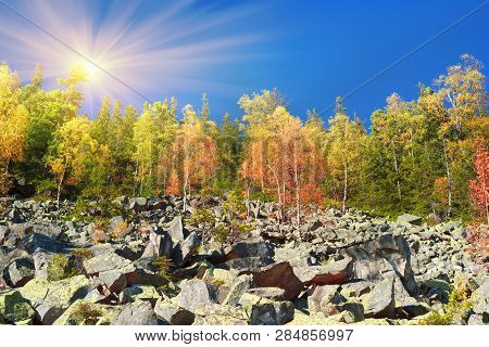 Autumn On The Rocky Mountains