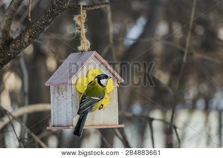 A Small Yellow Tit Sits On A Yellow Bird And Squirrel Feeder House From Plywood In The Park