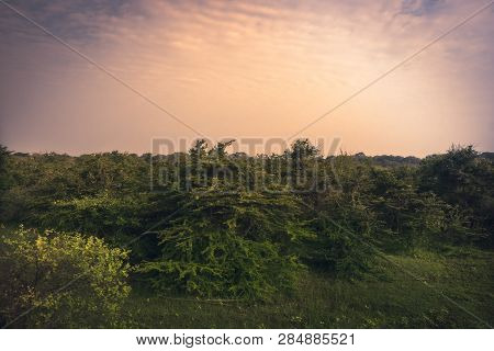 Sunrise Scenery Plain Landscape In Yala National Park Reserve In Sri Lanka In Orange Pink Purple Col