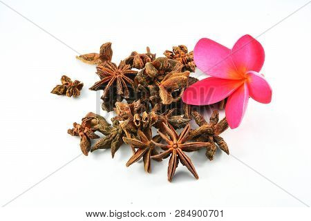 Chinese Spice Star Anise Fruit And Pink Flower Isolated On White Background / Star Aniseed Badian Kh