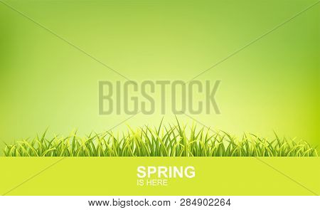 Spring Bright Background