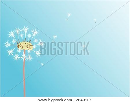Dandelion.Eps