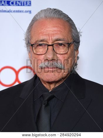 LOS ANGELES - FEB 17:  Edward James Olmos arrives for the Hollywood Beauty Awards 2019 on February 17, 2019 in Hollywood, CA                