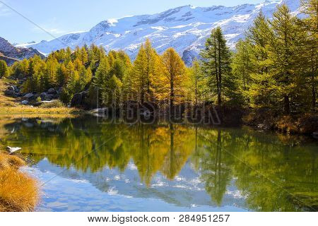 Colorful Trees In Autumn At Grindjisee Lake, Zermatt With Alps Snow Mountains At The Background, Swi