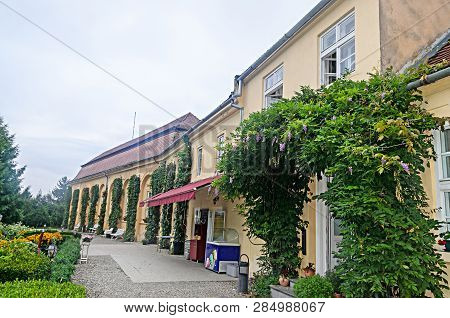 Detail From Outdoor Garden Of The Old Palace Brukenthal Avrig.