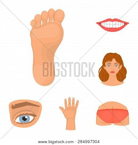 Vector Design Of Body And Part Icon. Set Of Body And Anatomy Vector Icon For Stock.