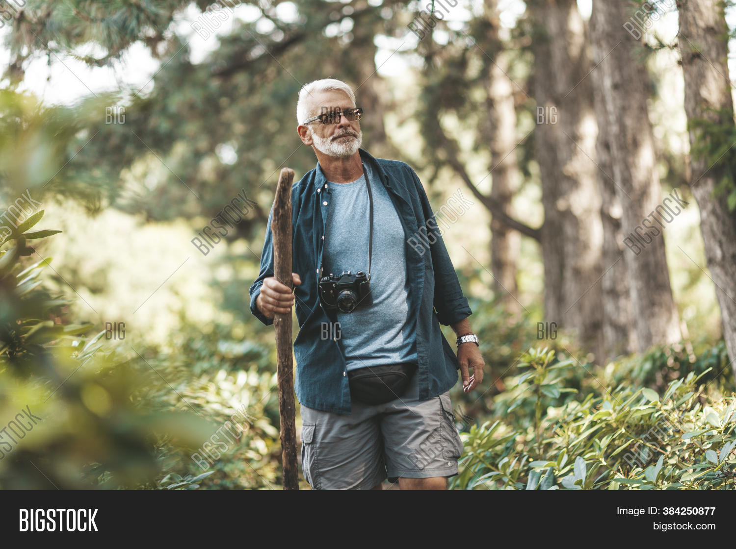 Handsome 60yearold Image & Photo (Free Trial) Bigstock