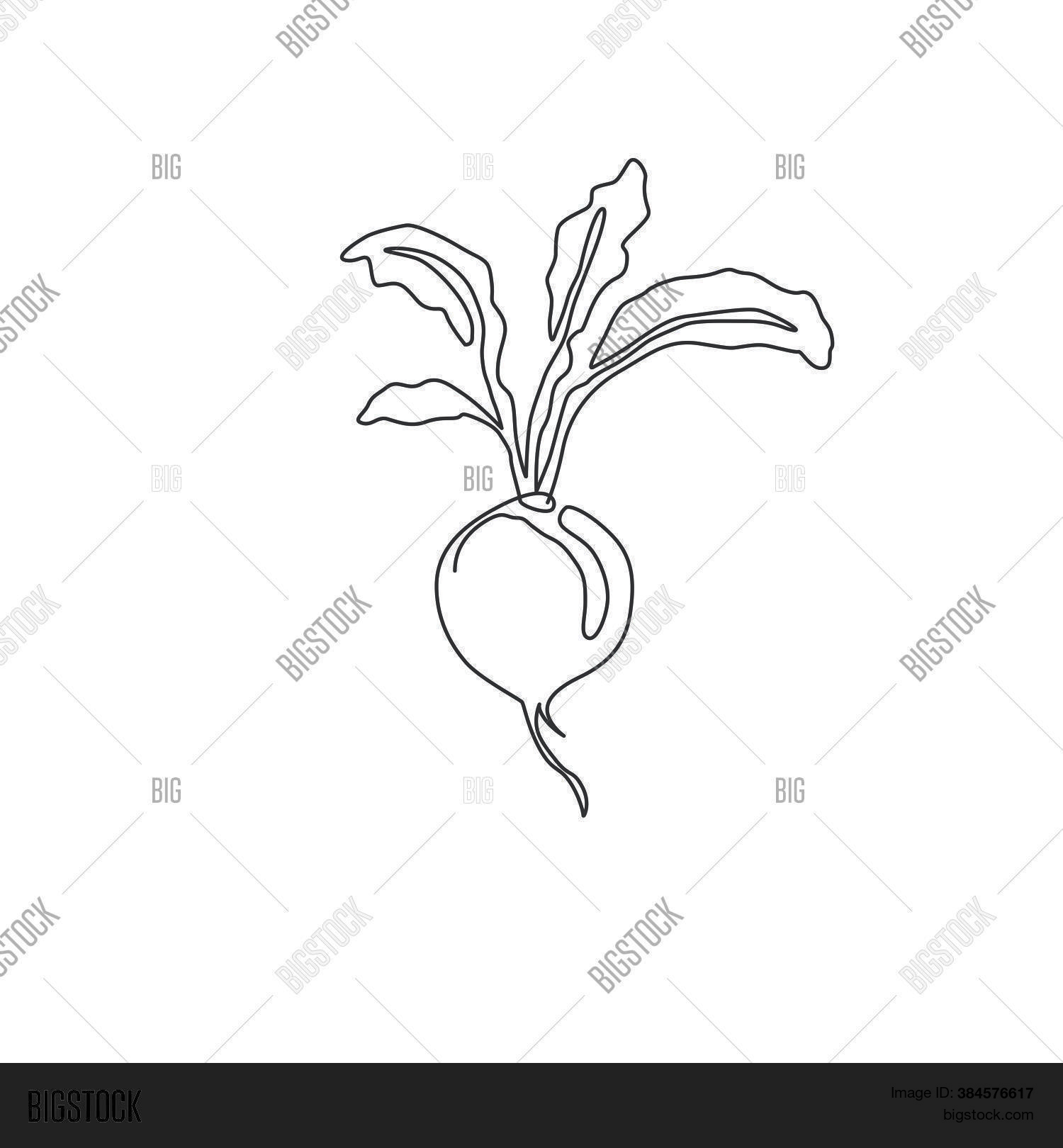 shalgam-drawing-sellers-www-gbu-presnenskij-ru