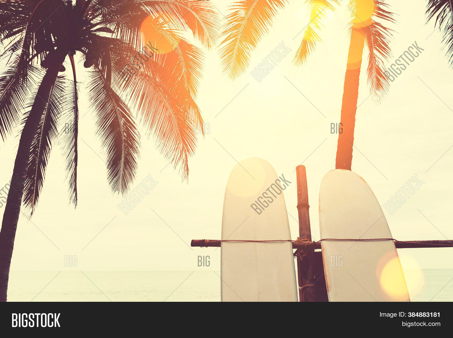 Surfboard Palm Tree On Image & Photo (Free Trial) | Bigstock