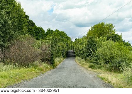 Beautiful Sceneric View At The Road Among Green Trees And Brushes, Cloudy Sky, Green Grass Tonnel. T