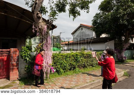Nantou, Taiwan - April 9th, 2020: dendrobium flowers at street with tourists in Zhongxing new village, Nantou, Taiwan, Asian