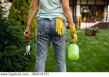 Woman with spray and hoe in the garden, back view