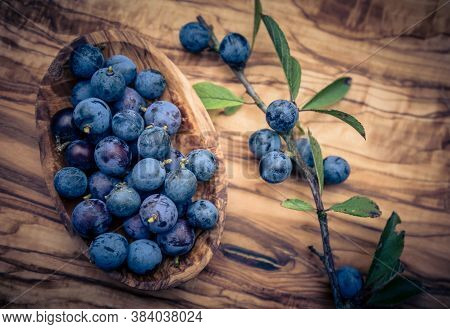 Blue Round Fruits Of The Blackthorn Bush