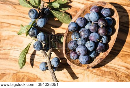 Blue Round Fruits Of The Blackthorn Bush