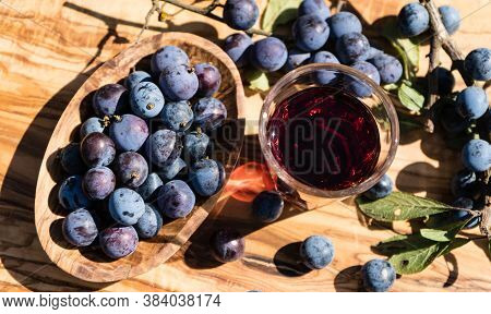 Blue Round Fruits Of The Blackthorn Bush