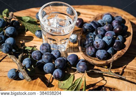 Blue Round Fruits Of The Blackthorn Bush