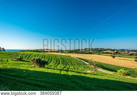 Beautiful Sunrise In The Countryside Of Marche In A Summer Morning