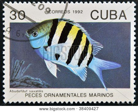 CUBA - CIRCA 1992