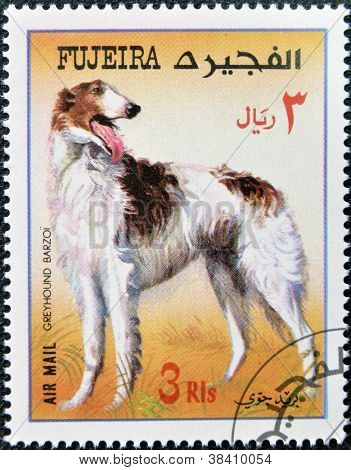 FUJEIRA - 1980 yaklaşık: köpek gösterileri tazı barzoi 1980 yaklaşık adanmış Fujeira basılmış damga