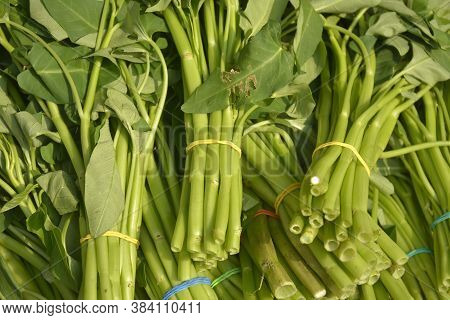 Water Spinach Kang Kong Vegetable Bundle In The Philippine Market
