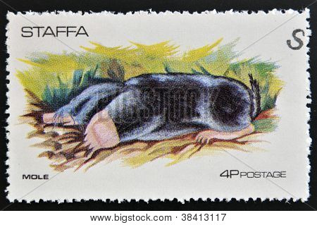 STAFFA - por volta de 1973: selo imprimido Staffa mostra mole por volta de 1973