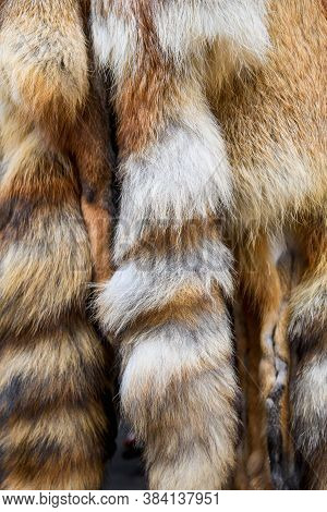 Animal Skins Fur Hung For Sale. Merciless Killing Of Animals. The Social Problem Of Killing Animals 