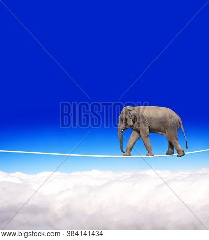 Managing risk concept. Elephant walking on a rope on the blue sky background. Cute elephant on tightrope above the clouds