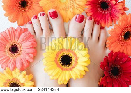 Toenails after pedicure with red nail varnish or color between flowers