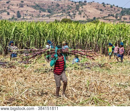 Tis Issat, Ethiopia - Feb 05, 2020: Ethiopian Peasants Working In The Fields During The Harvest Near