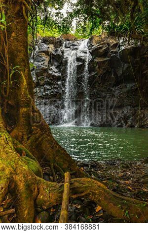 Tropical Landscape. Beautiful Hidden Waterfall In Rainforest. Foreground With Big Tree Trunk. Advent