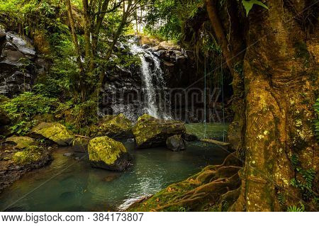 Tropical Landscape. Beautiful Hidden Waterfall In Rainforest. Tree With A Swing. Adventure Concept. 
