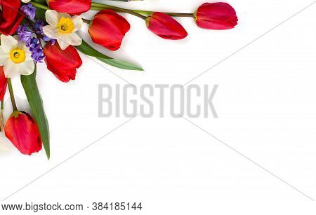 Decoration Of Women's Day Or Mother's Day. Beautiful Red Tulips, Narcissus, Hyacinths And Flowers Mu