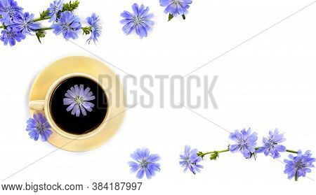 Frame Of Flowers Of Common Chicory (cichorium Intybus) White Background With Space For Text. Top Vie
