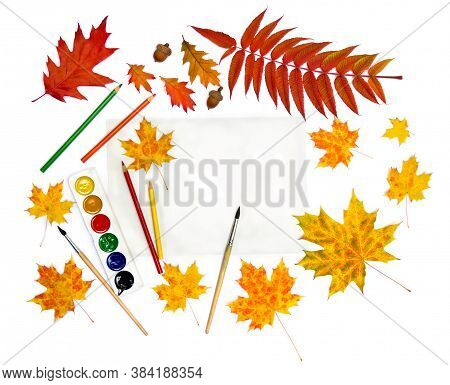 Beautiful Autumnal Maple Leaves, Red Leaves Oak, Acorns, Leaves Staghorn Sumac, Pencils, Brush, Pain