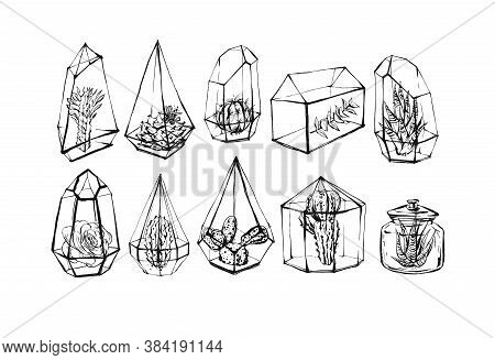 Hand Drawn Vector Abstract Stock Flat Graphic Illustrations Collection Set Bundle With Succulent And