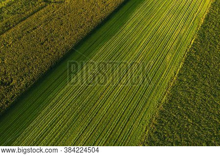 Areal View Of Crop Fields In Sunny Summer Day. Agriculture Concept
