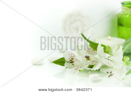 สีเขียวและสีขาว (สปาแนวคิด)