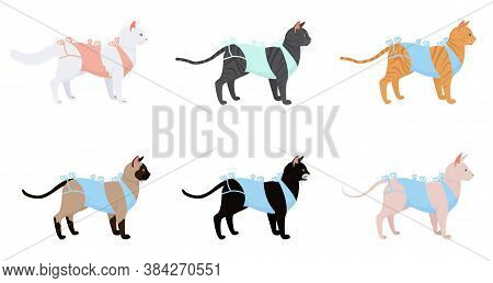 Cat In Bandage After Surgery Set. Cartoon Cats Different Breeds After Neutering Isolated On White