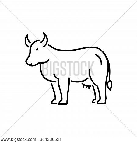 Black Line Icon For Cow Bossy Livestock Useful Dairy Cattle Give-milk Milk Farm Heifer Breef Agricul