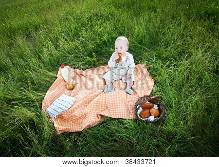 Picnic