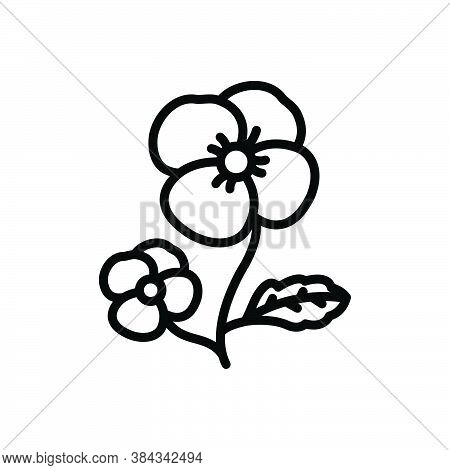 Black Line Icon For Pansy Ladylike Florist Spring Petals Fragrance Flower Blossom Botanical Delicate