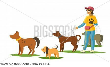 Dog Walker With Dogs Banner, Vector Illustration